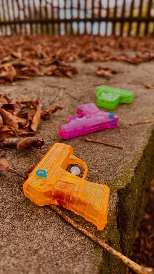 „Waffenruhe“, beschreibt unsere Leserfotografin Ute Plank Scharrer ihre Aufnahme.