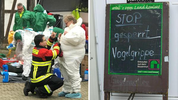 Geflügelpest im Landkreis Roth