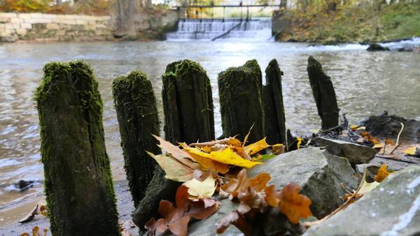 Friedlich fließt die Pegnitz in Reichenschwand vor sich hin.