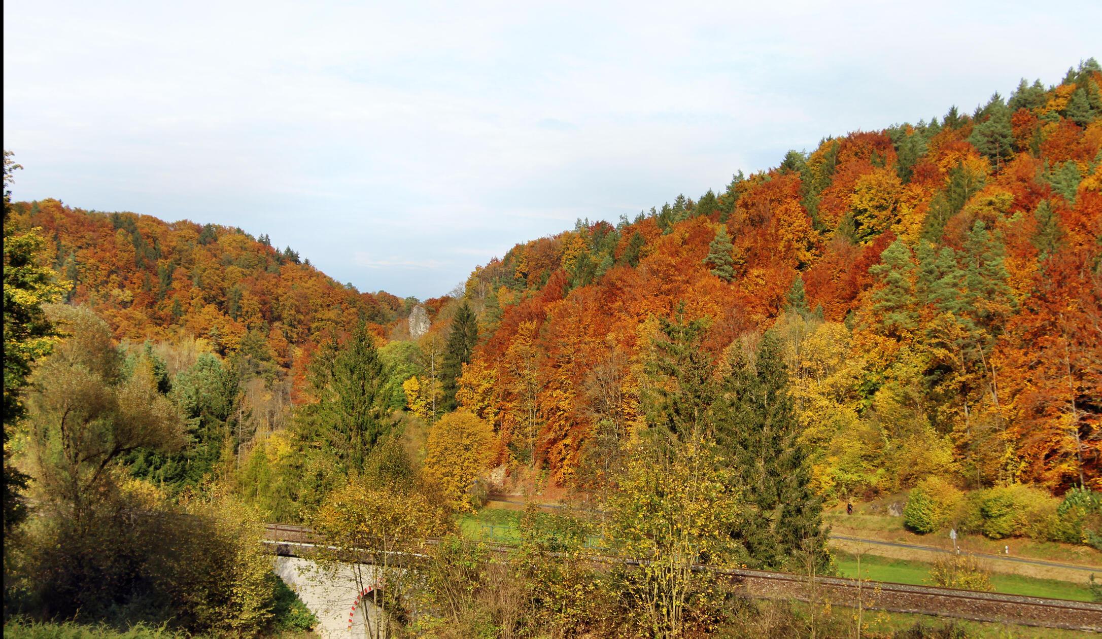 Mit einer Vielfalt an Farben zieht der Mischwald an den Hängen des Lehentals die Blicke auf sich.