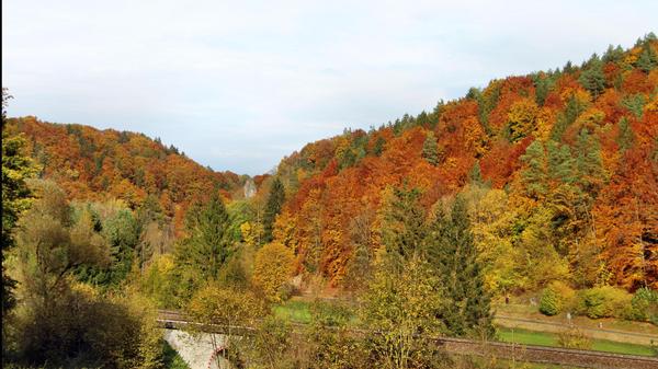 Mit einer Vielfalt an Farben zieht der Mischwald an den Hängen des Lehentals die Blicke auf sich.