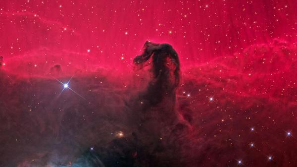 Dieses spektakuläre Foto hat unser Leser Norbert Heinel gemacht. Es zeigt den Pferdekopfnebel im Sternbild Orion. Er ist, schreibt unser Hobbyastronom Heinel, etwa 1500 Lichtjahre von der Erde entfernt.