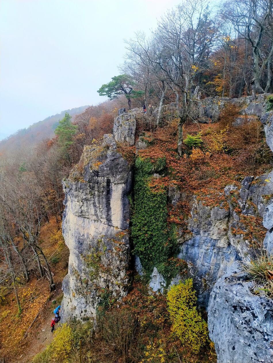Herbststimmung auf der Houbirg.