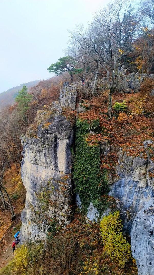 Herbststimmung auf der Houbirg.