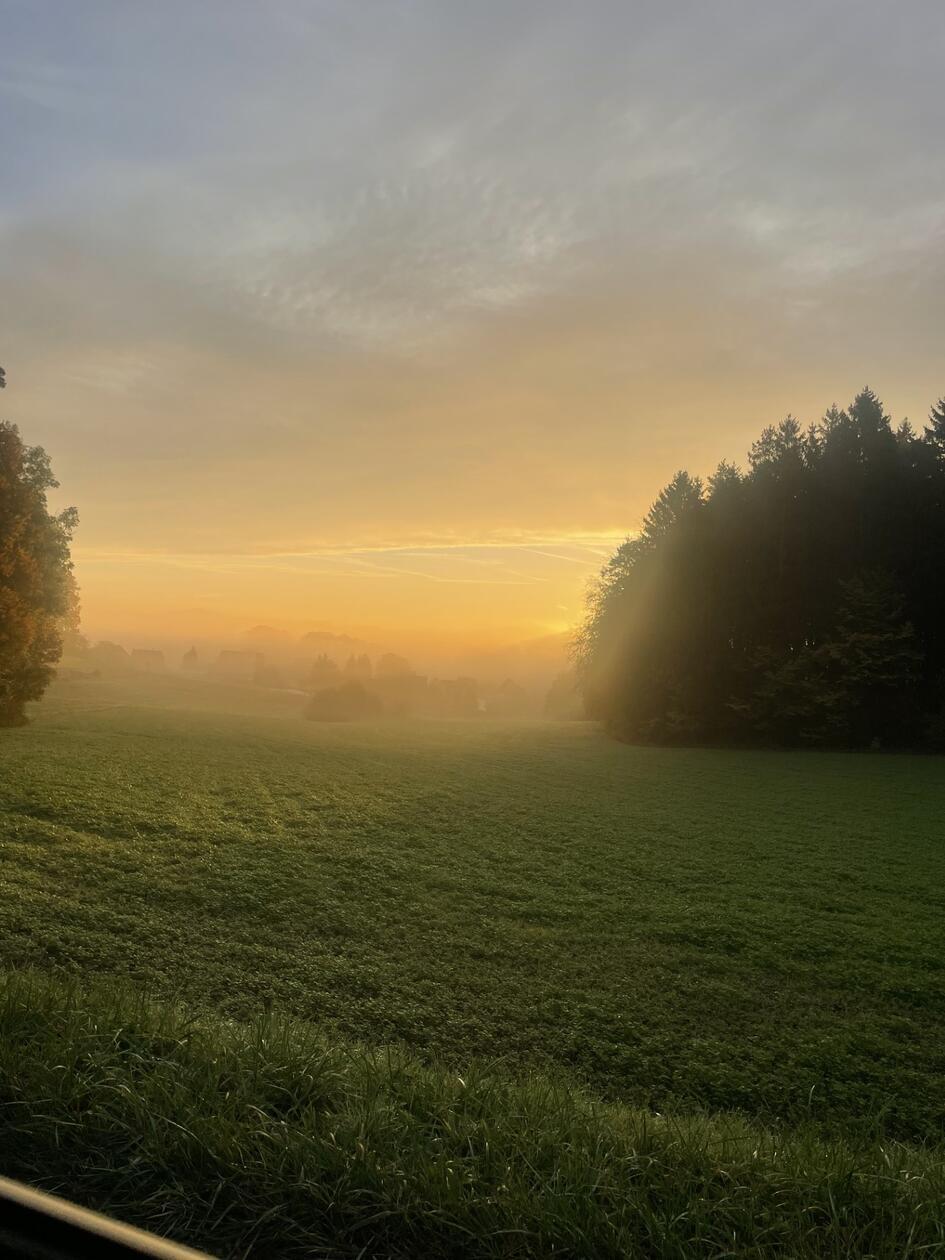 Sonnenaufgang über Treuf.