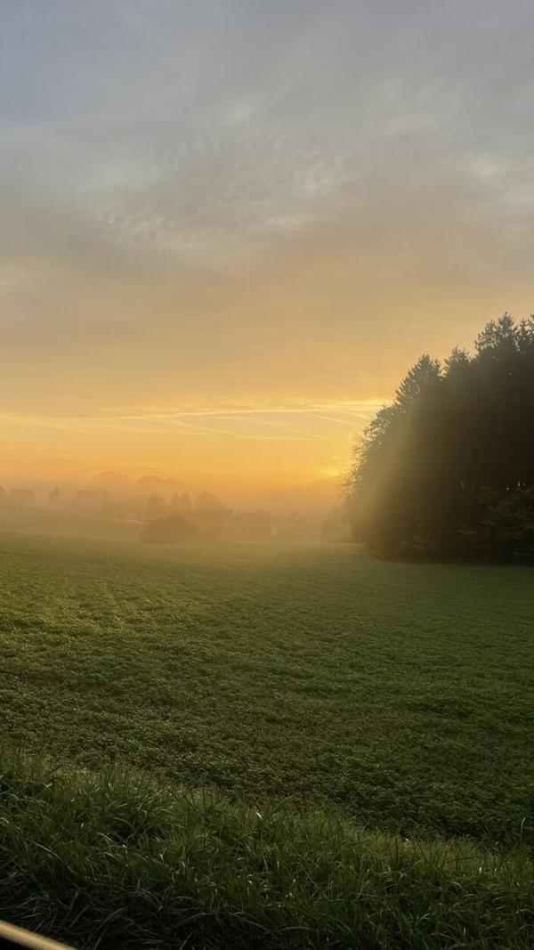 Sonnenaufgang über Treuf.