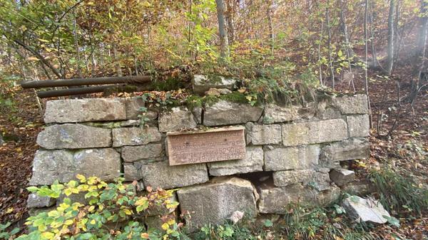Ein Relikt vergangener Zeiten: Reste der Skisprungschanze des Skiclubs Rothenberg.