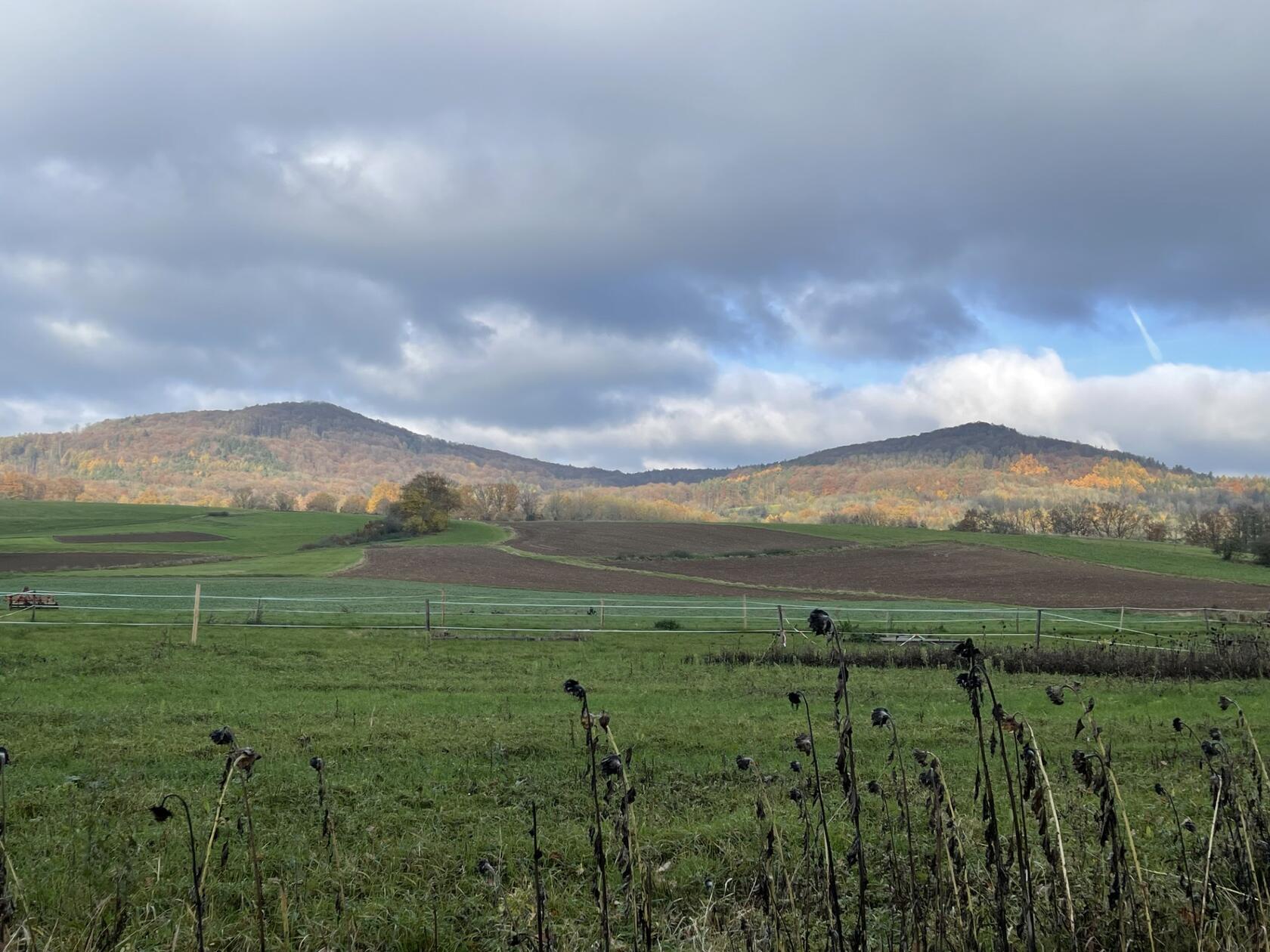 Morgenstimmung bei Reichenschwand: Der Kleine und Große Hansgörgl.