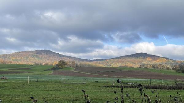 Morgenstimmung bei Reichenschwand: Der Kleine und Große Hansgörgl.