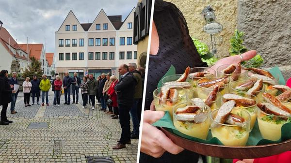 2024-11-08_11-29_collage