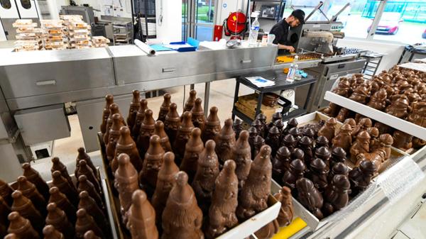 Screenshot 2024-11-19 123538