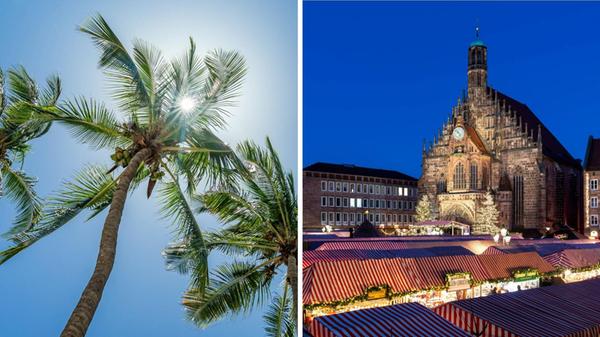 2024-11-20_13-15_collage