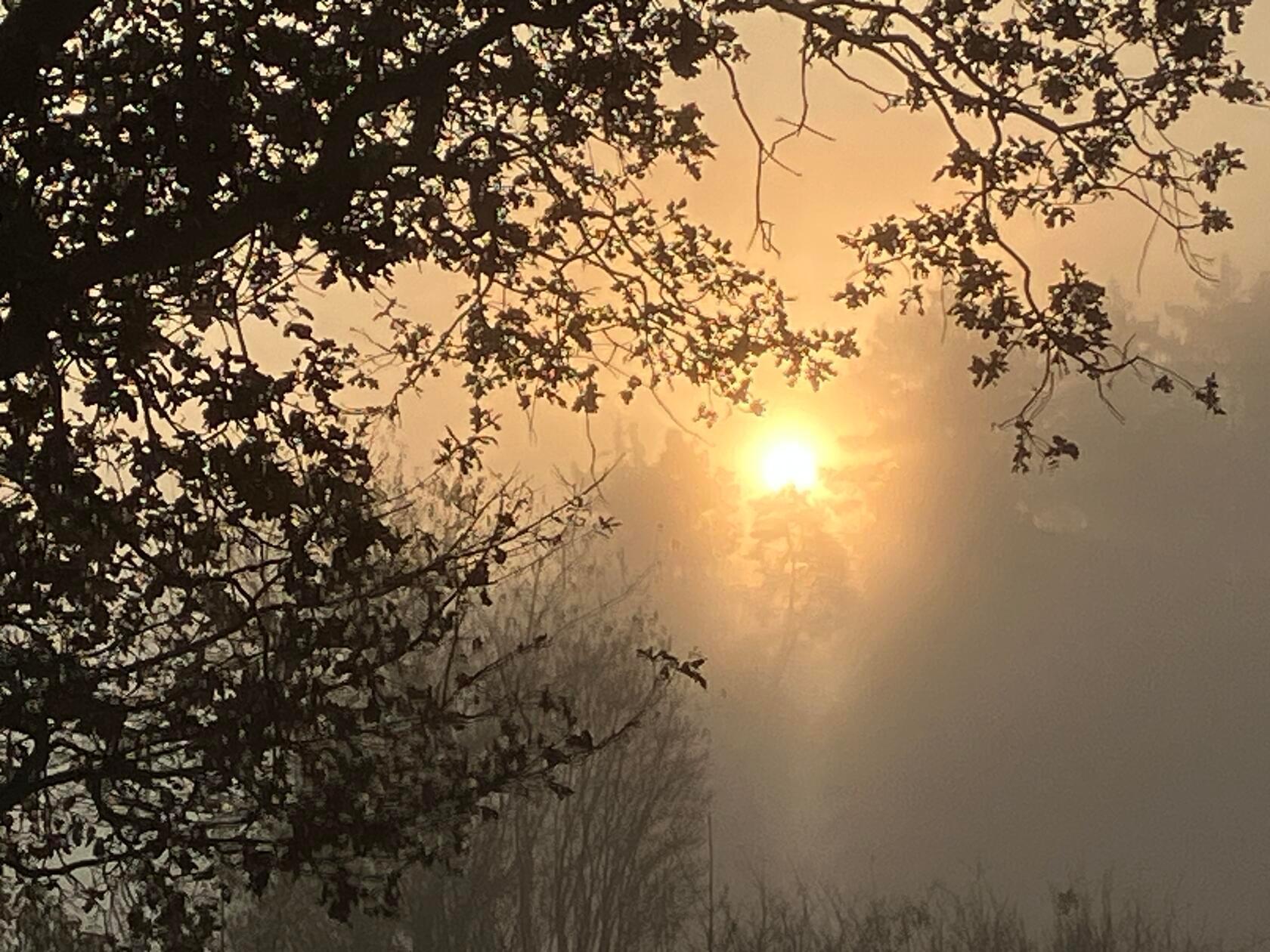 Herbstlicher Morgen in Großmeinfeld.