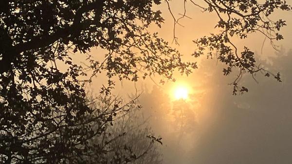 Herbstlicher Morgen in Großmeinfeld.