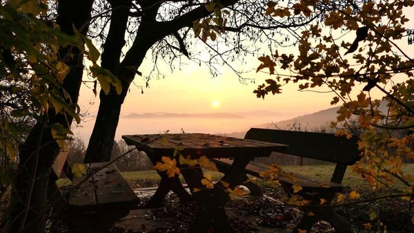 Blick über den morgendlichen Nebel von Oberkrumbach aus.