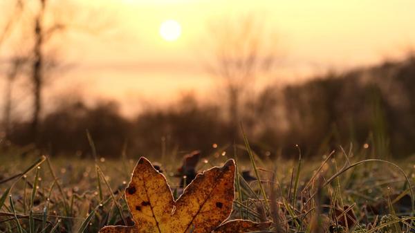 Sanft liegt der Morgentau auf der Landschaft.