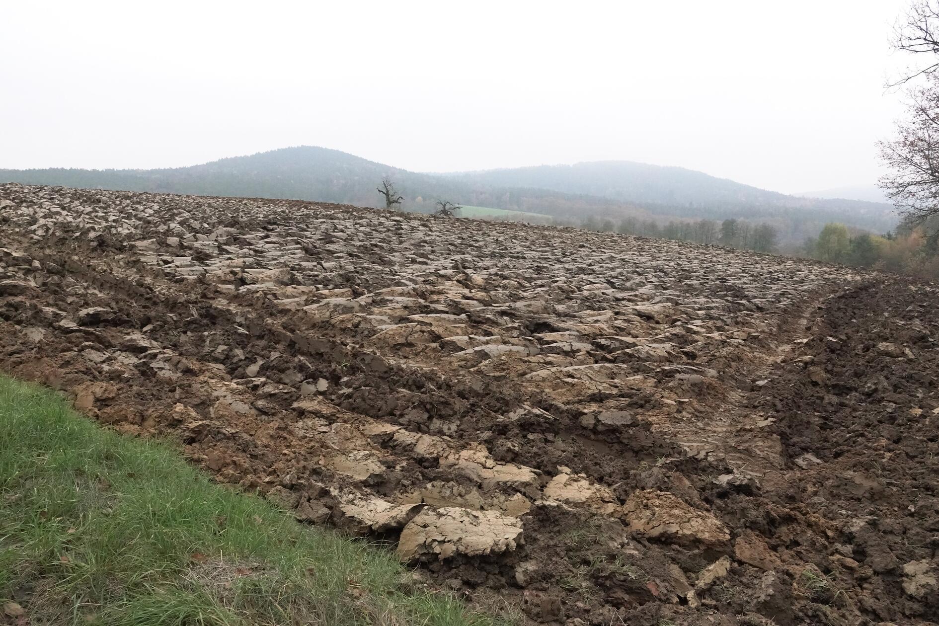 "Der vorletzte Monat des Jahres ist eine Zeit zum Innehalten und des Nachdenkens. Die Ernte ist eingebracht und das alte Jahr neigt sich unweigerlich seinem Ende zu. Feld und Flur sind verwaist und bereiten sich auf die Winterruhe vor, ehe im Frühjahr die Natur zu neuem Leben erwacht", beschreibt unser Leserfotograf sein Foto, aufgenommen bei Henfenfeld.