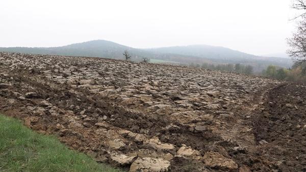 "Der vorletzte Monat des Jahres ist eine Zeit zum Innehalten und des Nachdenkens. Die Ernte ist eingebracht und das alte Jahr neigt sich unweigerlich seinem Ende zu. Feld und Flur sind verwaist und bereiten sich auf die Winterruhe vor, ehe im Frühjahr die Natur zu neuem Leben erwacht", beschreibt unser Leserfotograf sein Foto, aufgenommen bei Henfenfeld.