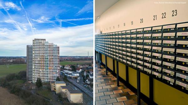 2024-11-22_09-26_collage