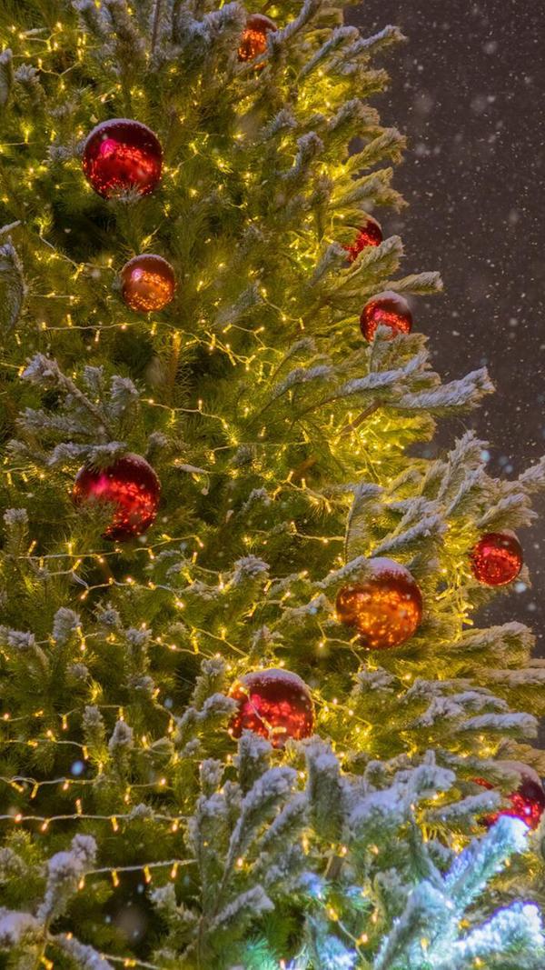 Der Vegan Bullerbyn e.V., ein Verein, der einen Lebenshof in Herrieden (Heuberg 2) zwischen Ansbach und Feuchtwangen betreibt, hat sich für die Vorweihnachtszeit etwas Besonderes ausgedacht: Einen eintägigen Weihnachtsmarkt, der rein vegan sein wird. Dieser hat am Sonntag, 8. Dezember, ab 13 Uhr geöffnet. Neben Glühwein und veganen Snacks werden auch Aussteller ihre handgearbeiteten (veganen) Waren feilbieten.