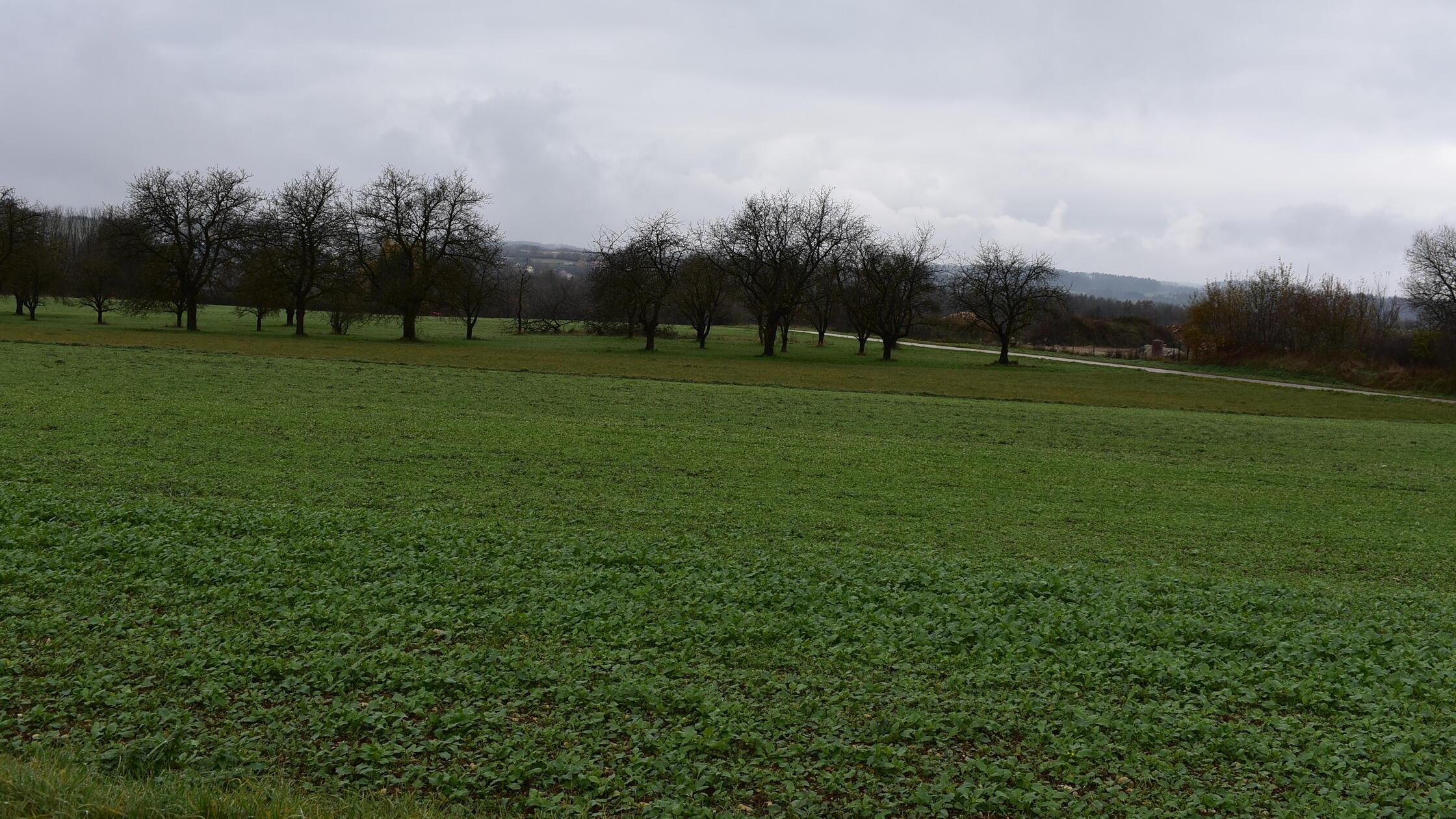 Großprojekt bei Gräfenberg: Streit um 15-MW-Agri-PV-Anlage entfacht ...
