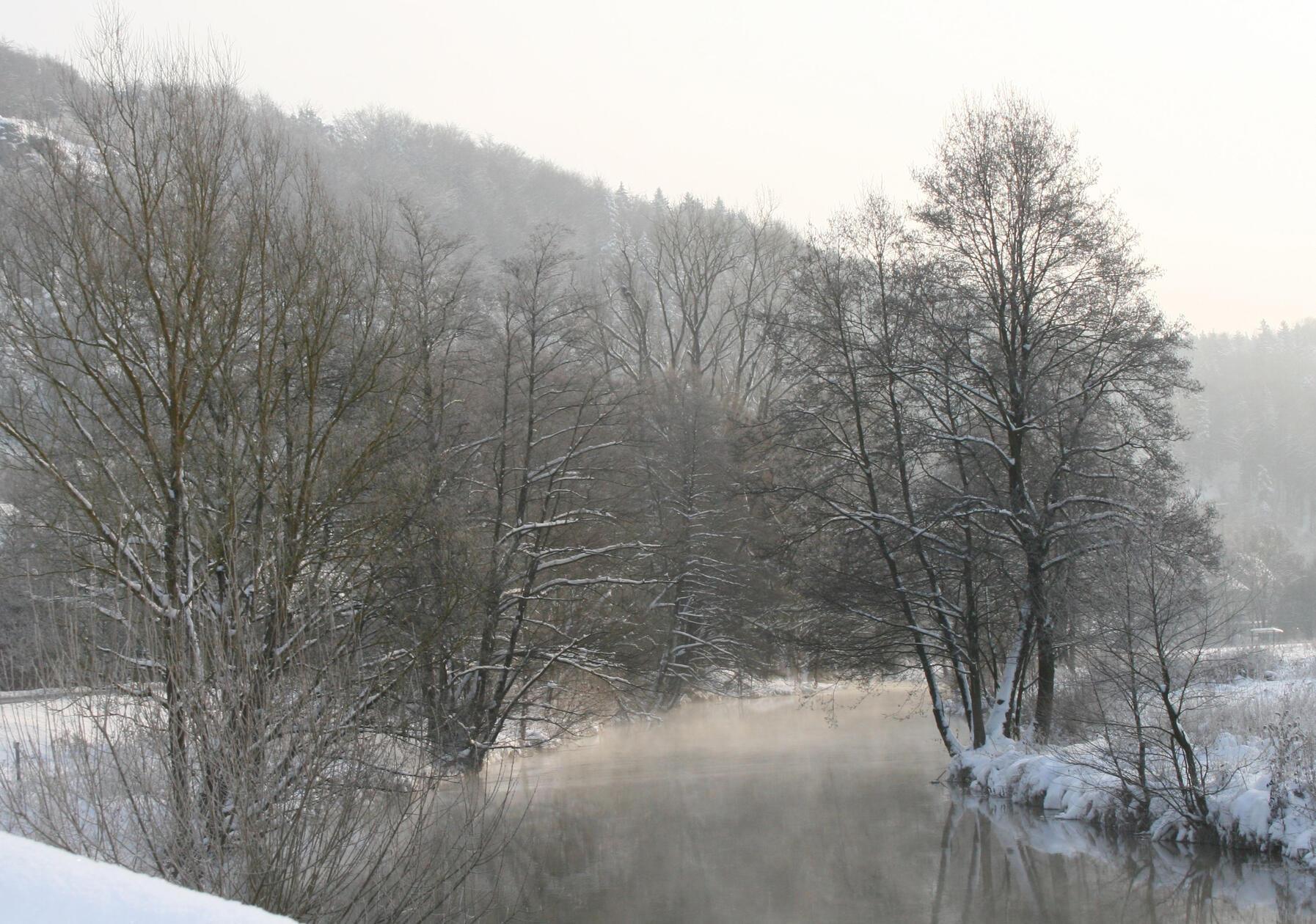 Morgennebel an der winterlichen Pegnitz bei Artelshofen.