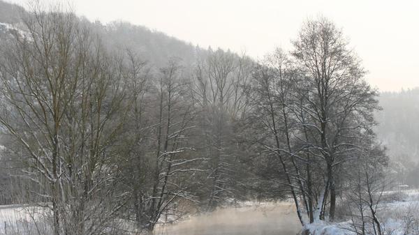 Morgennebel an der winterlichen Pegnitz bei Artelshofen.
