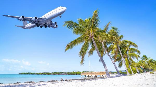 modern airliner arrives above palm trees