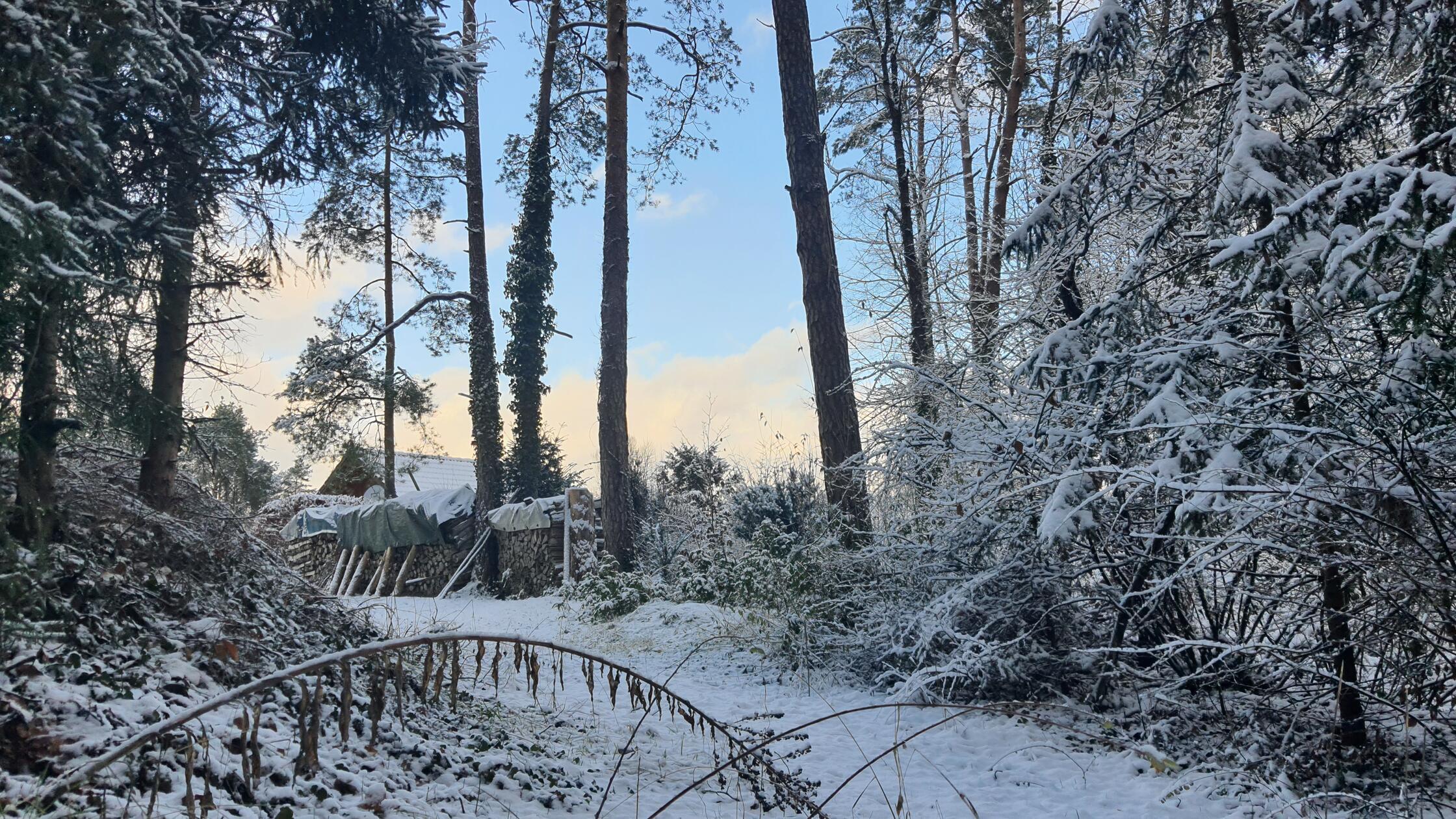 2025 Neuhaus im Winter 03.01.25  (16)