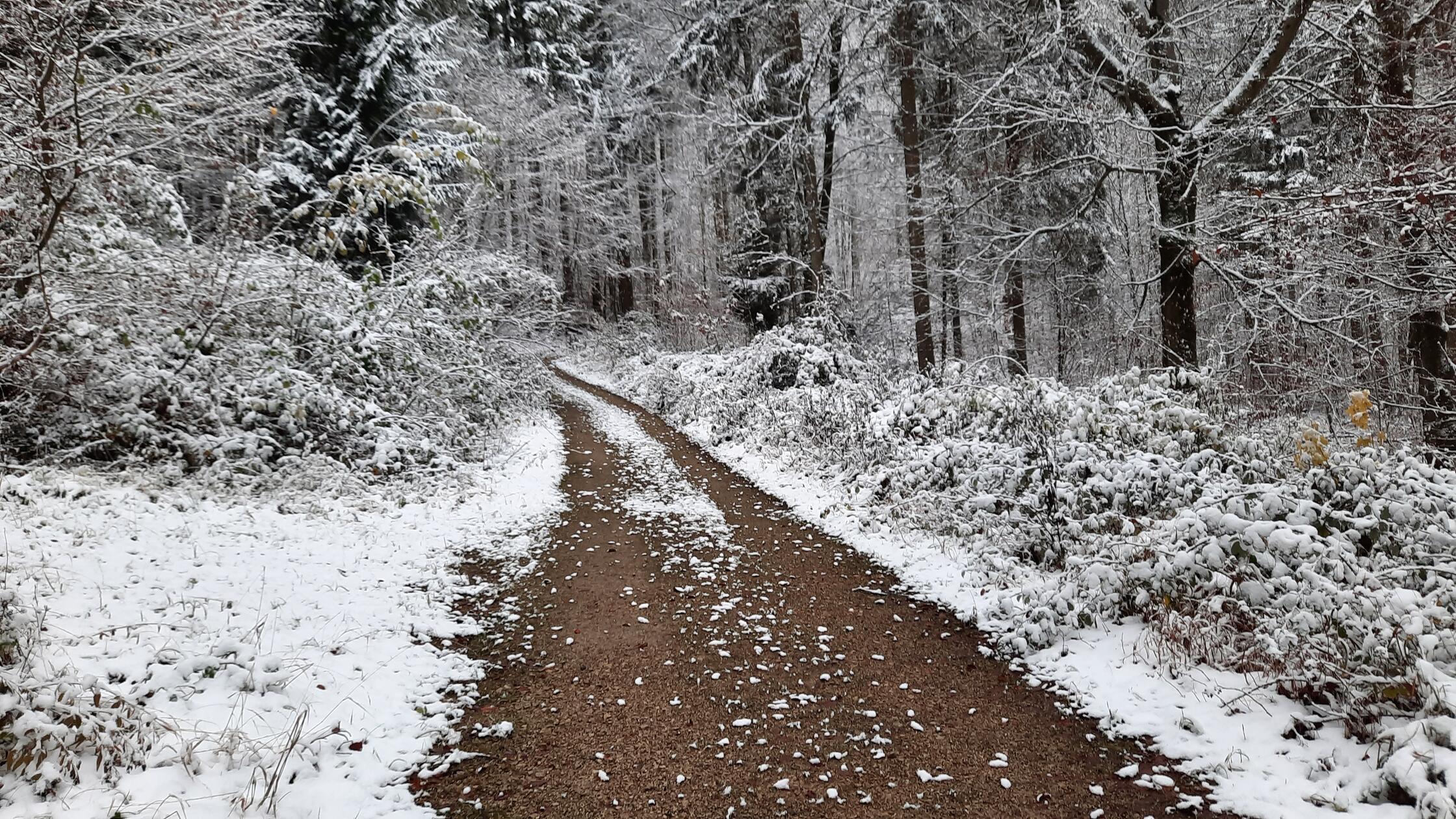 Winterliche Flur bei Egensbach