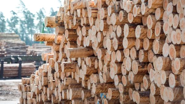 Holzindustrie-Betzenmuehle-Presse-copyrigh-ZG-075