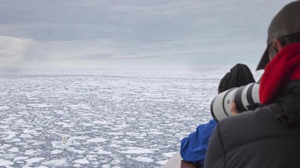 Ökotouristen fotografieren einen einsamen Eisbär