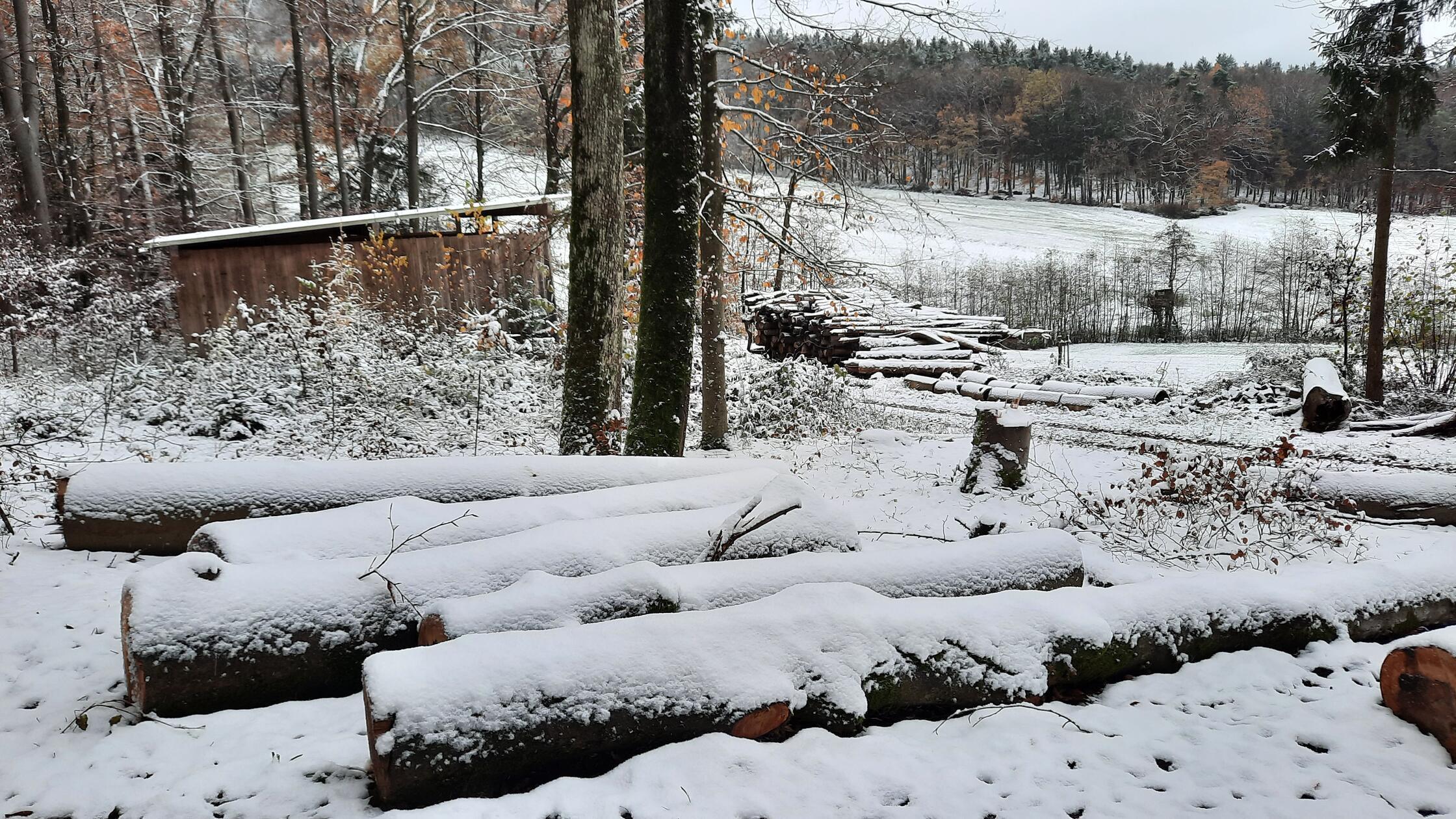 Leserfoto von Hans Schmidt, aufgenommen in der Flur Ehrenbrust bei Egensbach.