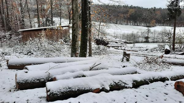 Leserfoto von Hans Schmidt, aufgenommen in der Flur Ehrenbrust bei Egensbach.