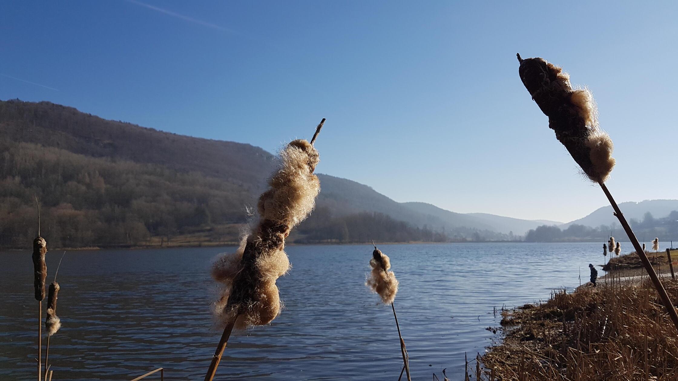 Unterwegs am Happurger Stausee.