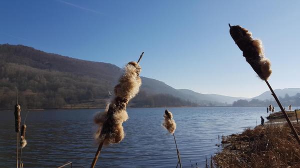 Unterwegs am Happurger Stausee.