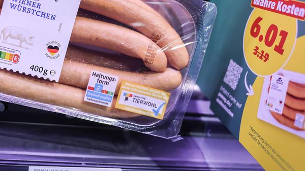 urn:newsml:dpa.com:20090101:230726-911-004319