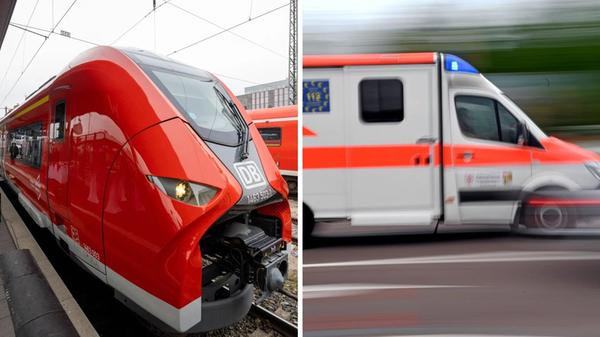 2024-12-16_21-18_collage