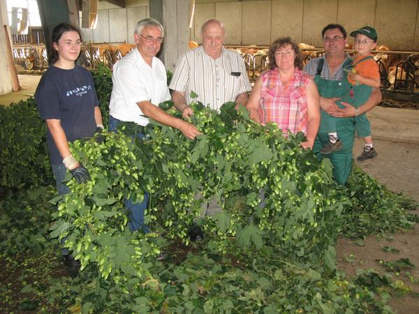 Gute Aussichten für die Hopfenernte 2011 im Spalter Land