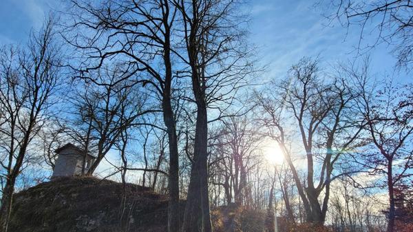 Das Steinbruchhäuschen bei Großviehberg bei bestem Winterwetter.