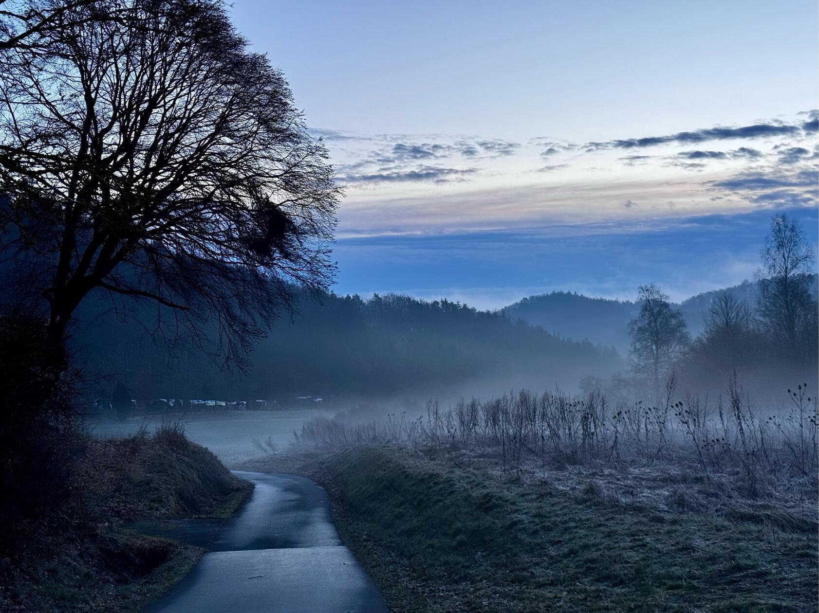 Mystische FrankenPfalz: Diese Stimmung hat unsere Leserfotografin Christine Scherber bei ihrem Spaziergang um Hartenstein herum bildlich eingefangen.