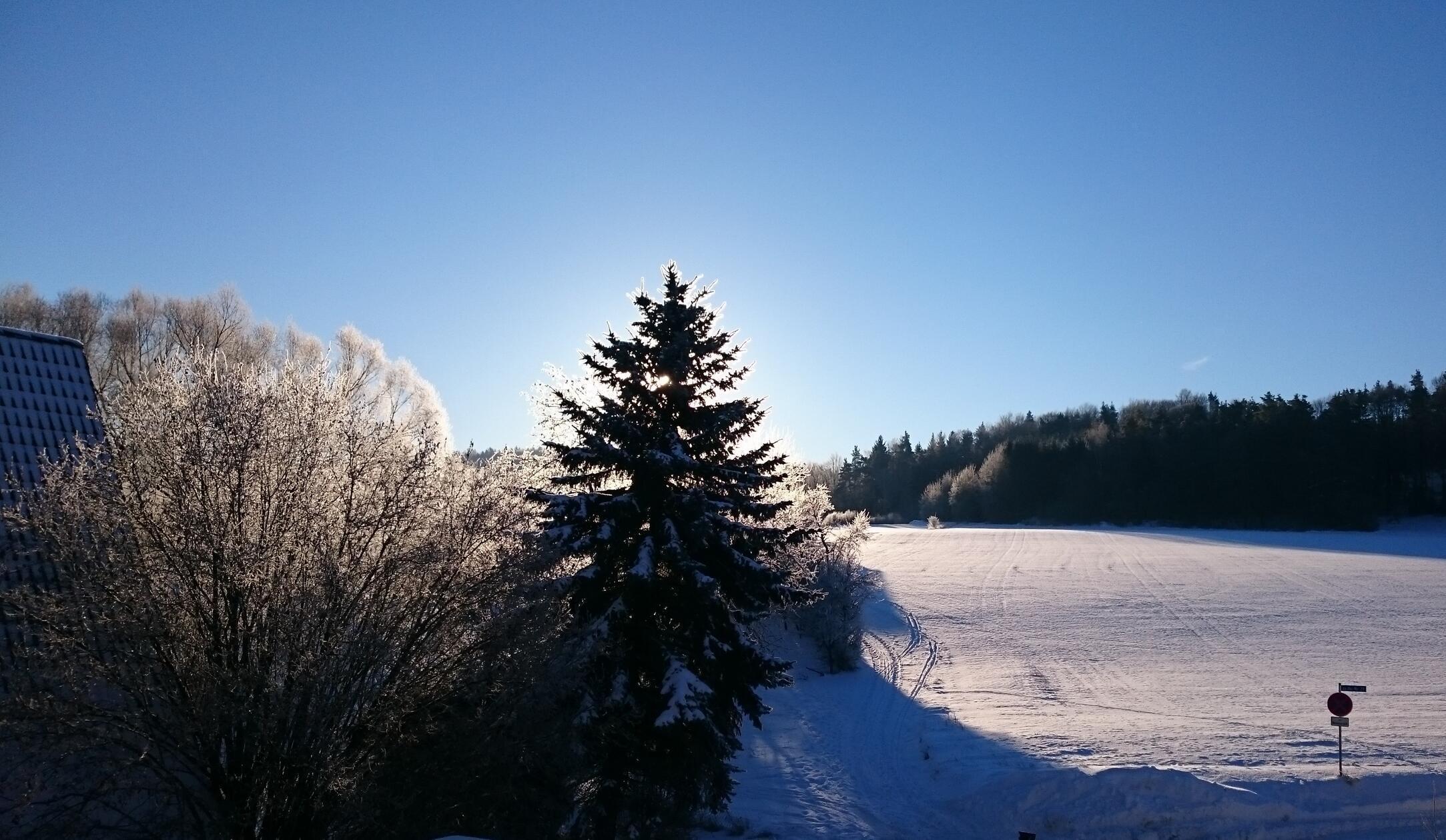 Winterlandschaft und blauer Himmel - fotografiert in Guntersrieth.
