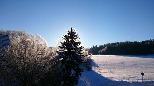 Winterlandschaft und blauer Himmel - fotografiert in Guntersrieth.