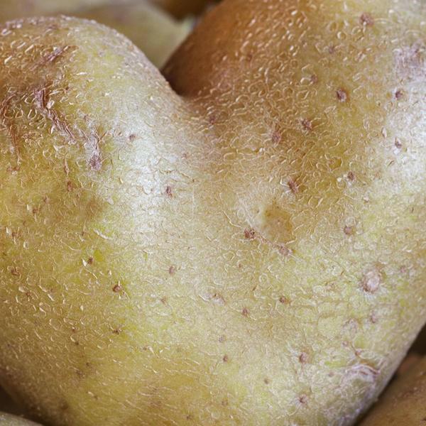 Mehr Rezepte mit Kartoffeln