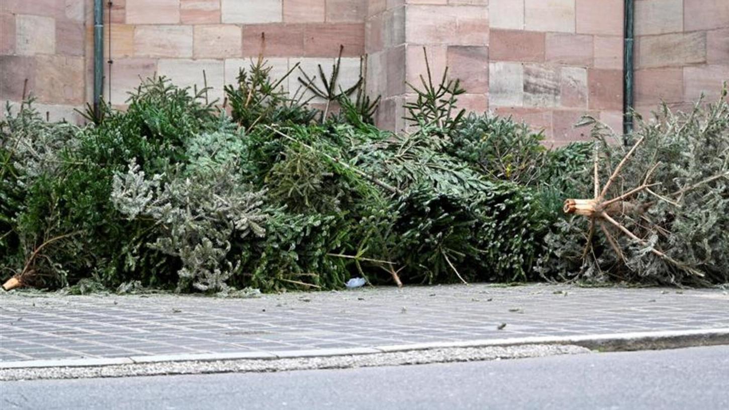 Jetzt stehen sie noch bunt geschmückt in den Wohnzimmern der Menschen, aber schon bald werden die Meisten ihren Weihnachtsbaum entsorgen wollen. Jetzt stehen sie noch bunt geschmückt in den Wohnzimmern der Menschen, aber schon bald werden die Meisten ihren Weihnachtsbaum entsorgen wollen.