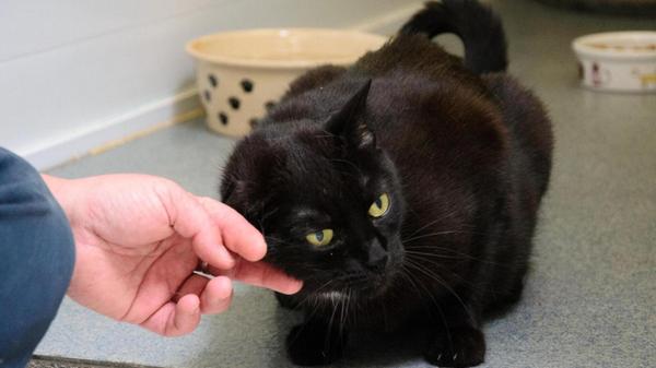 470501462_997280965778008_7312986321748966320_n