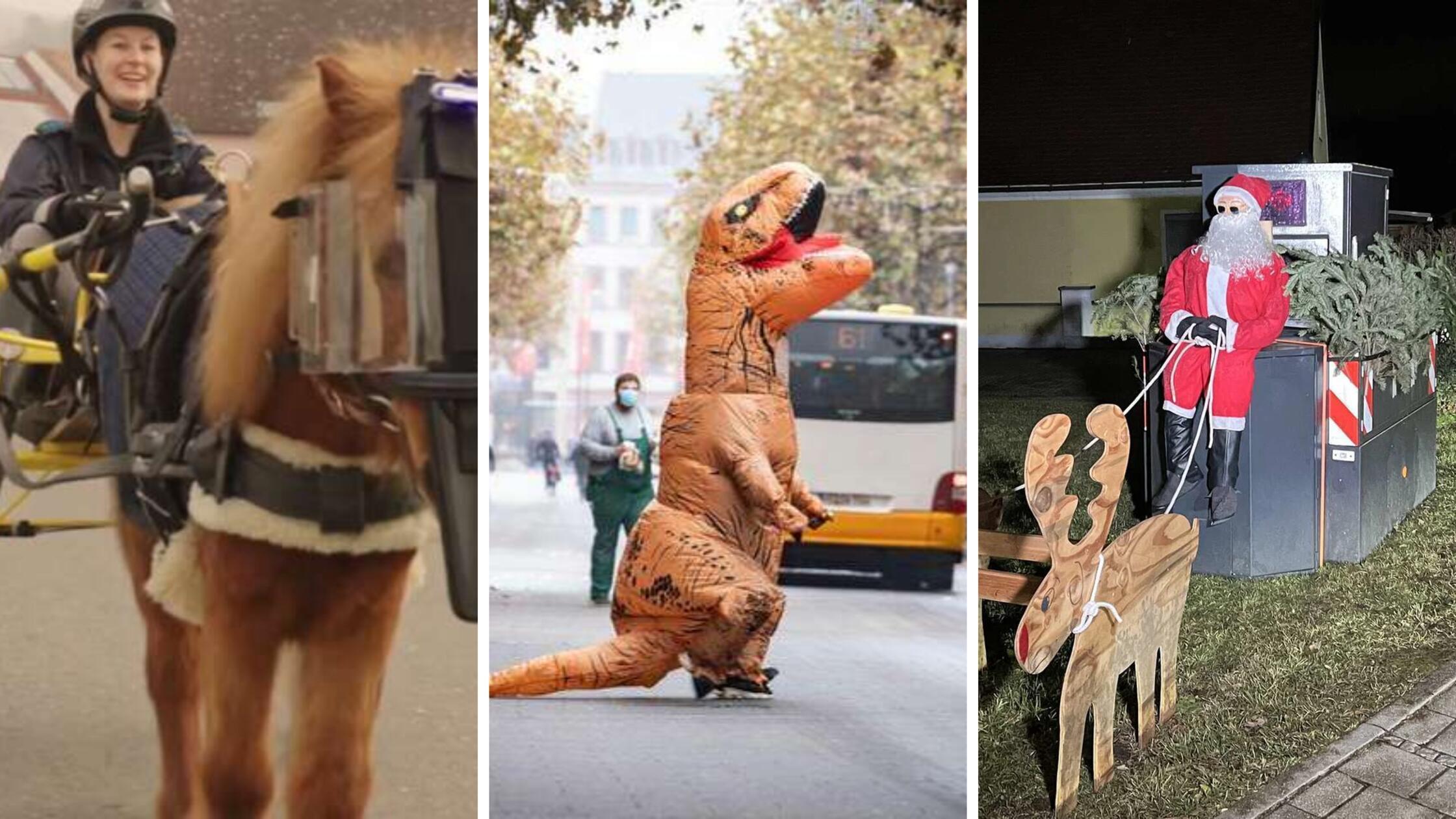 Das waren Sie, die kuriosesten Polizeimeldungen aus dem Jahr 2024.