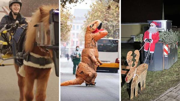 Das waren Sie, die kuriosesten Polizeimeldungen aus dem Jahr 2024.