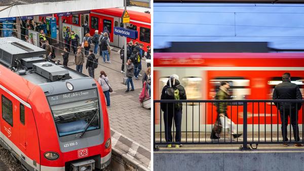 2024-12-29_11-10_collage