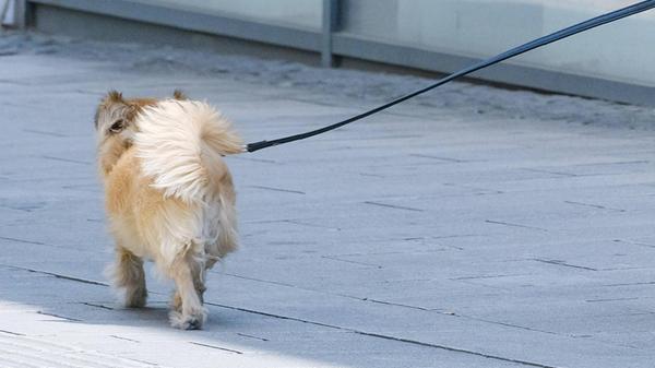 imago images 0556486591